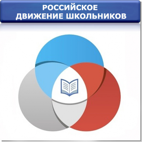 Общероссийская общественно-государственная детско-юношеская организация «Российское движение школьников»